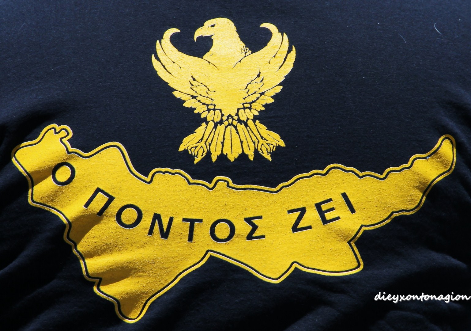 PONTOS-ZEI-Copy.jpg